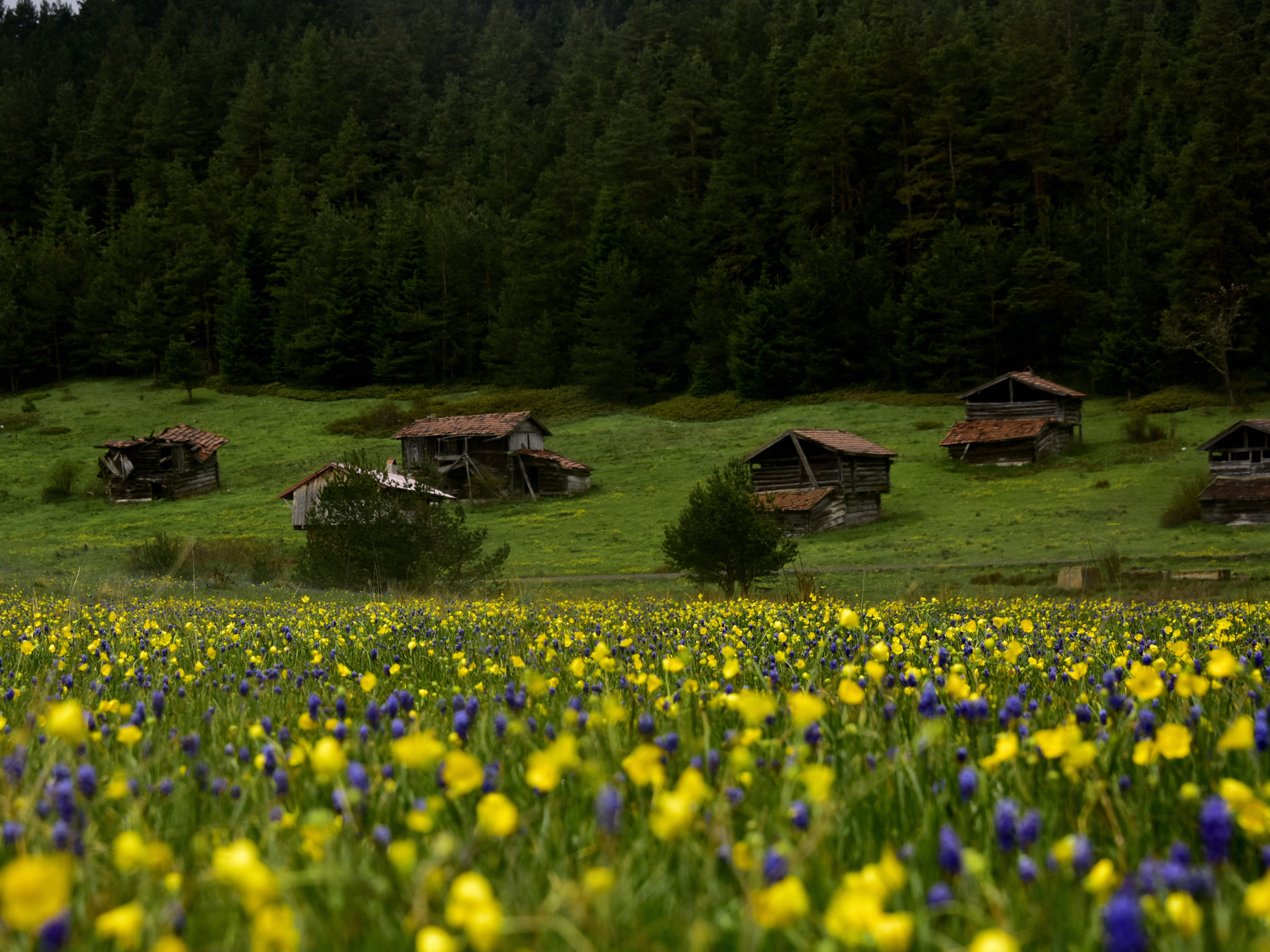 KASTAMONU'NUN RENKLERİ FOTOĞRAF SERGİSİ 2025