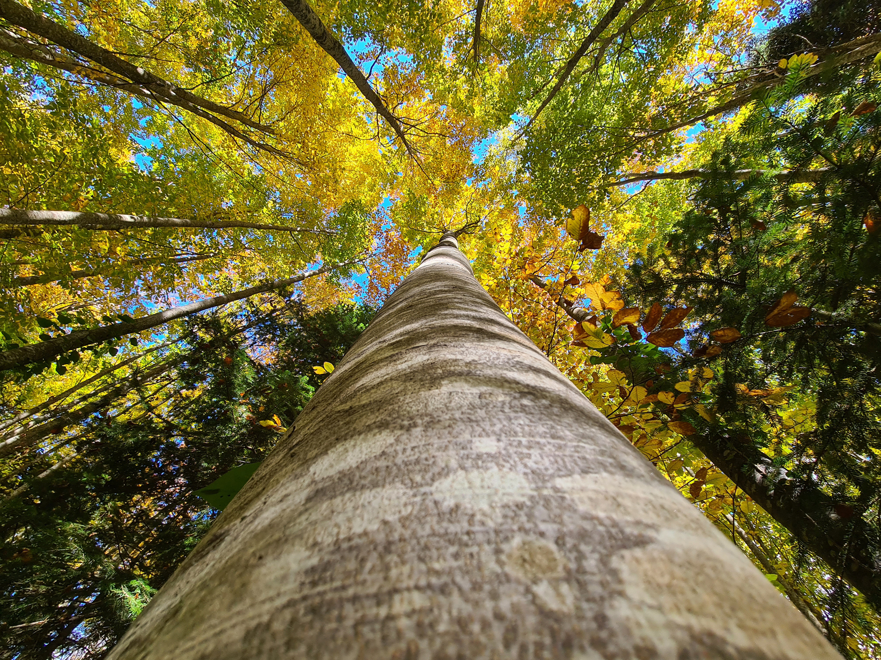 KASTAMONU'NUN RENKLERİ FOTOĞRAF SERGİSİ 2025