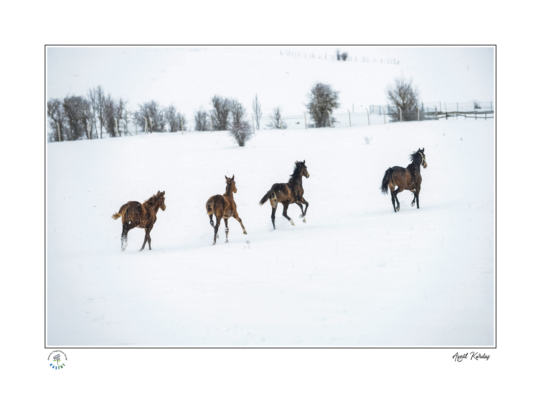 2023 Kış Sergisi Fotoğrafları