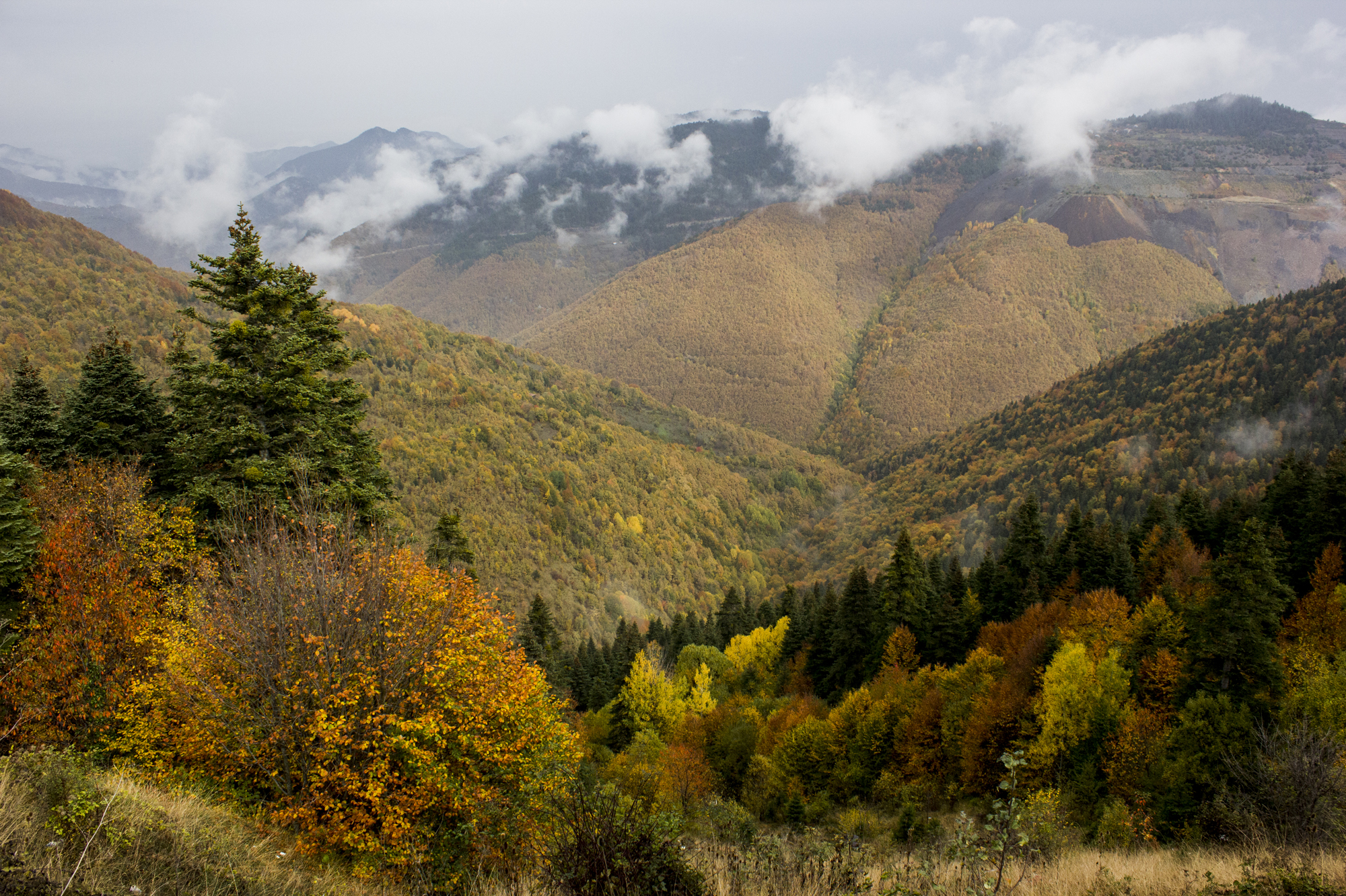 KASTAMONU'NUN RENKLERİ FOTOĞRAF SERGİSİ 2025