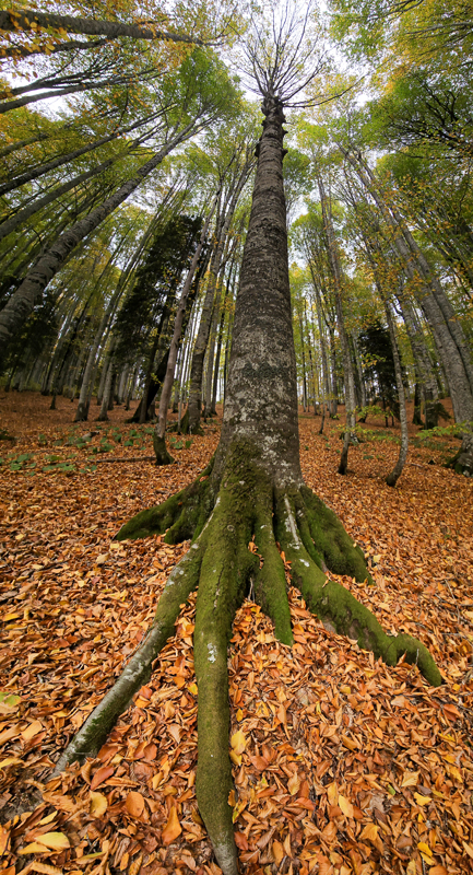 2023 Kış Sergisi Fotoğrafları