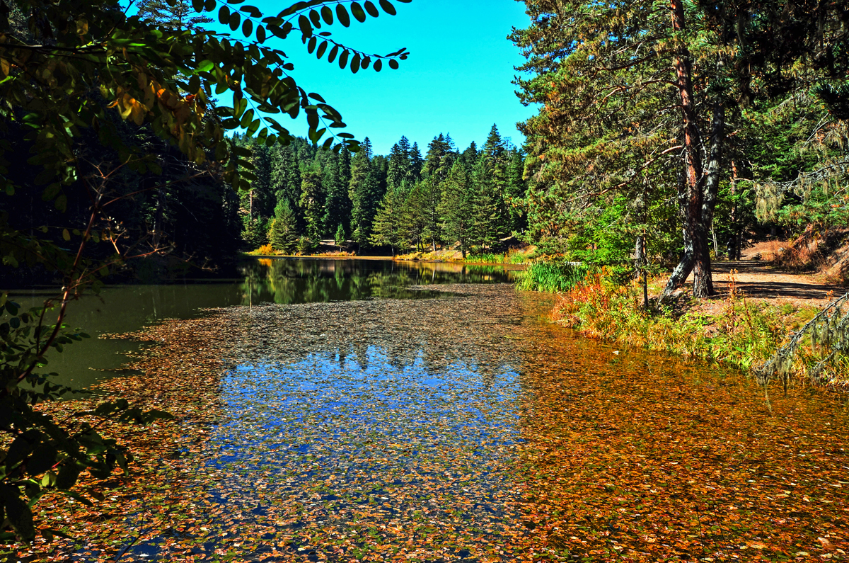 2024 Geleceğe Nefes Ormanlarımız Sergi Fotoğrafları