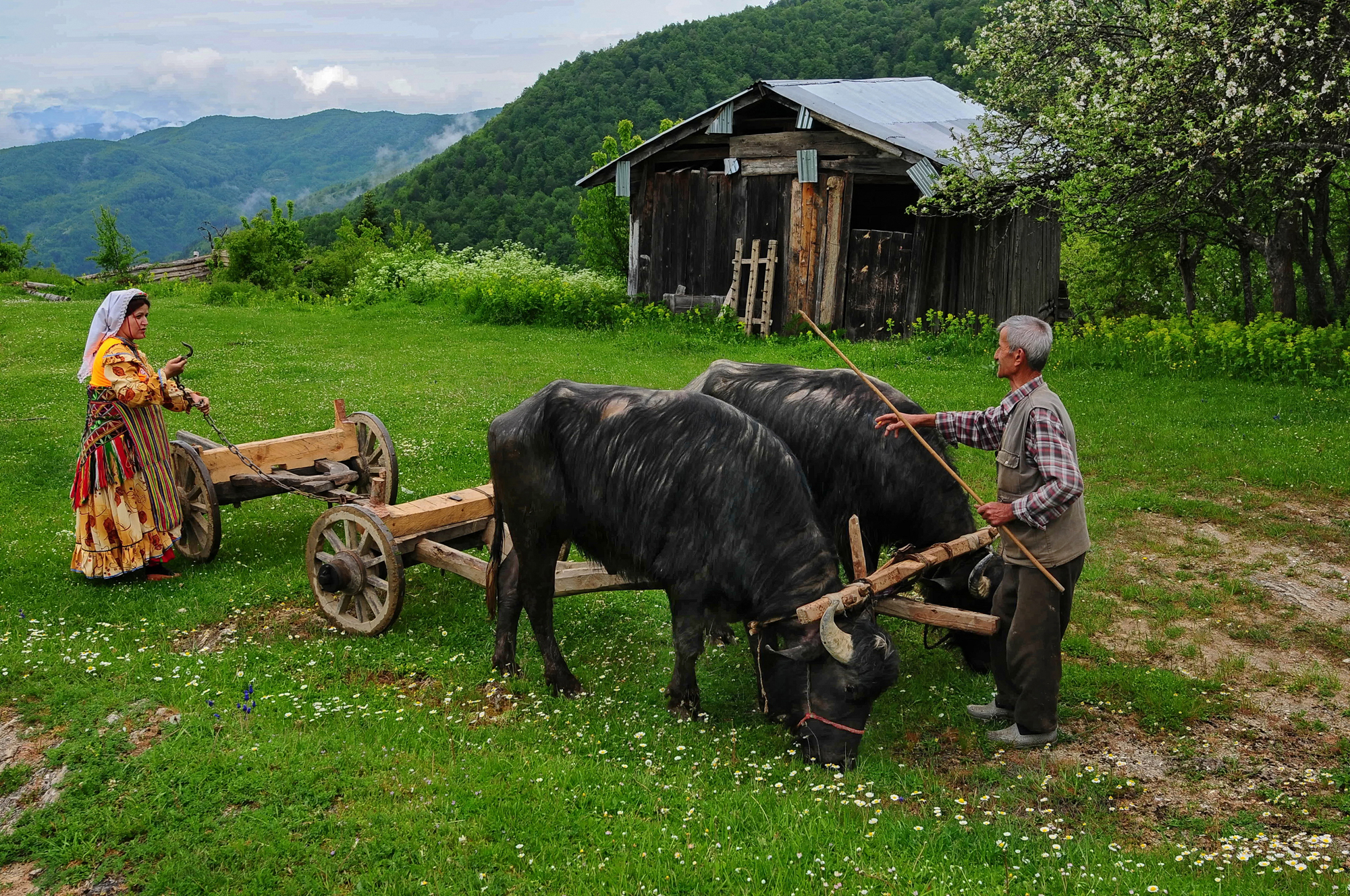 KASTAMONU'NUN RENKLERİ FOTOĞRAF SERGİSİ 2025