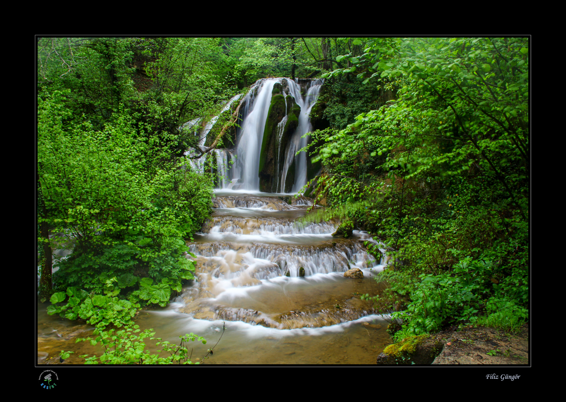 2024 Geleceğe Nefes Ormanlarımız Sergi Fotoğrafları