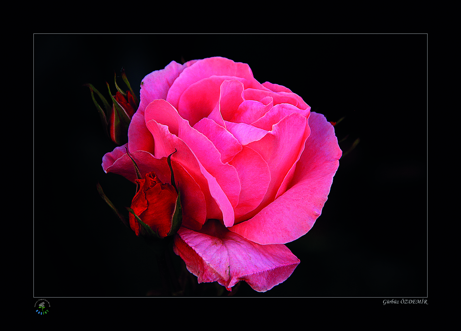 2020 Makro Sergisi Fotoğrafları