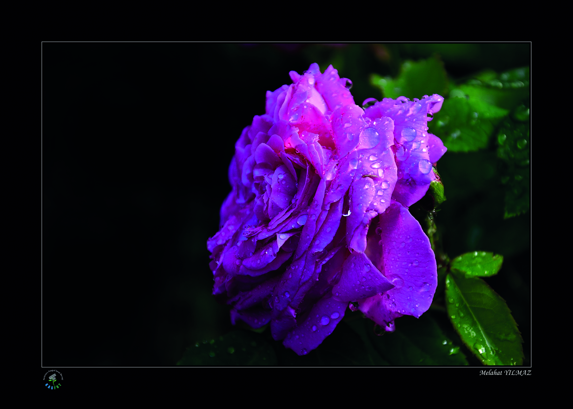 2020 Makro Sergisi Fotoğrafları