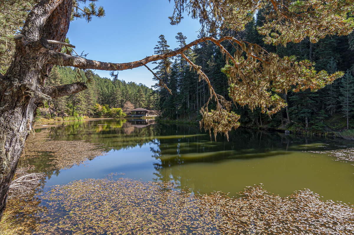2024 Geleceğe Nefes Ormanlarımız Sergi Fotoğrafları