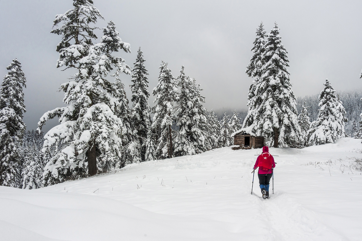 2024 Geleceğe Nefes Ormanlarımız Sergi Fotoğrafları