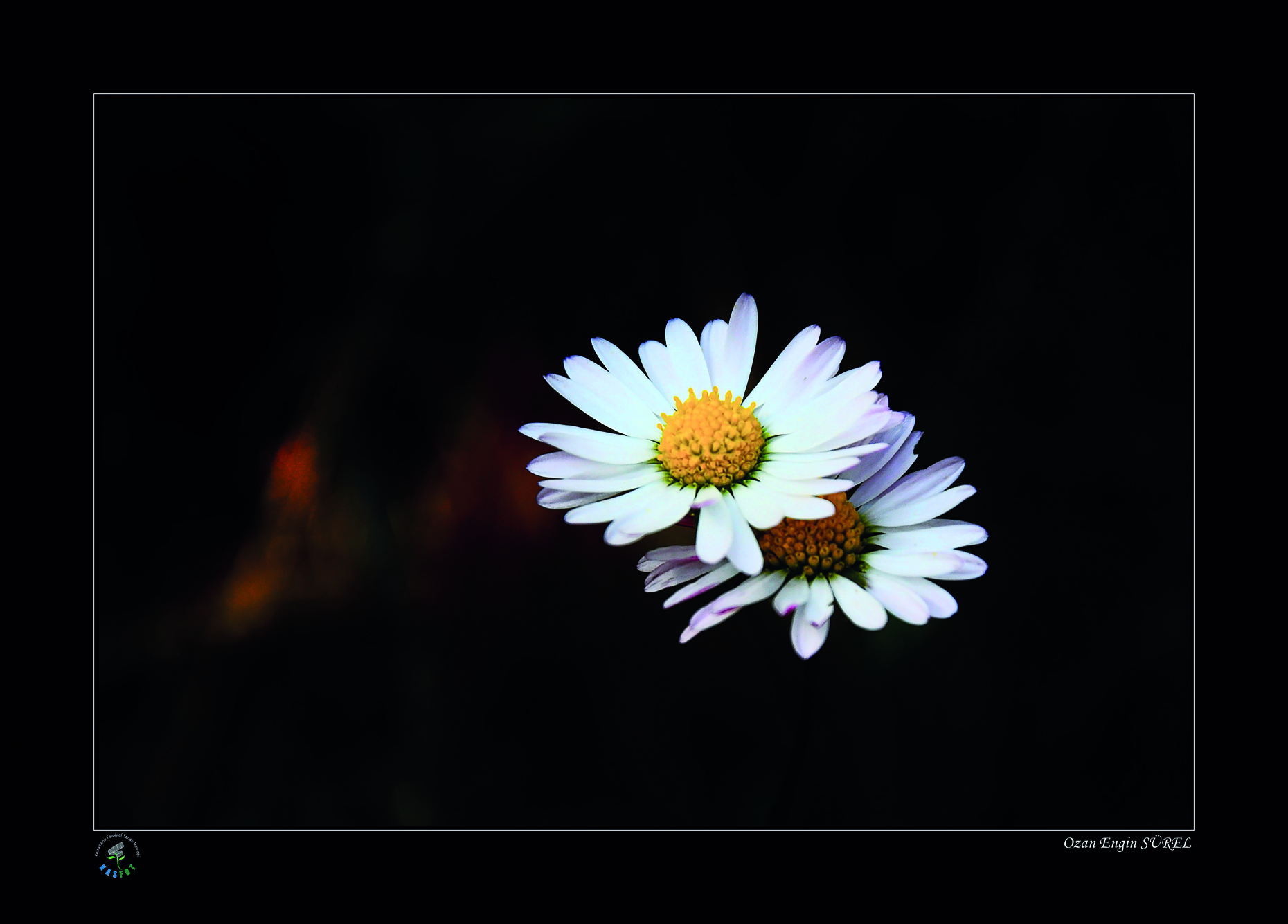 2020 Makro Sergisi Fotoğrafları