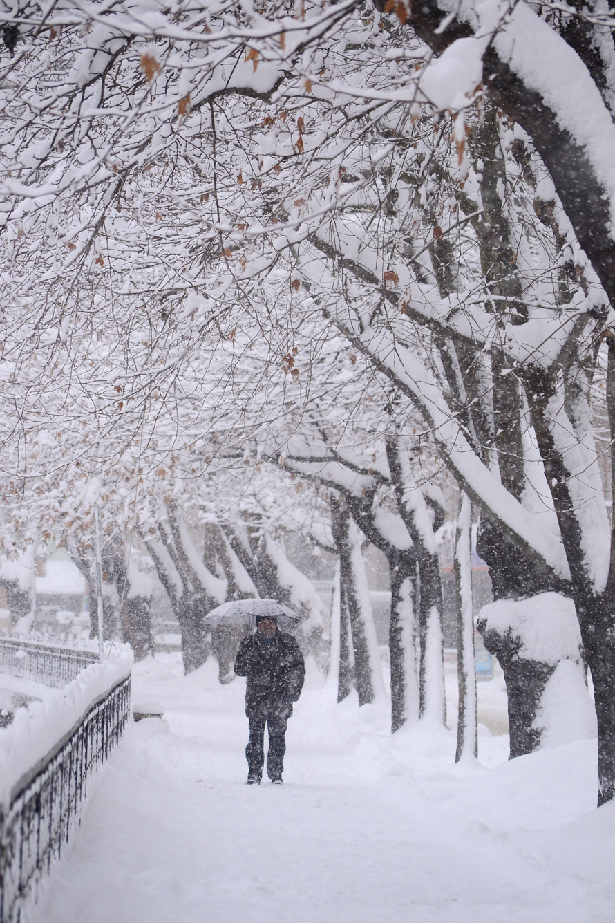 KASTAMONU'NUN RENKLERİ FOTOĞRAF SERGİSİ 2025