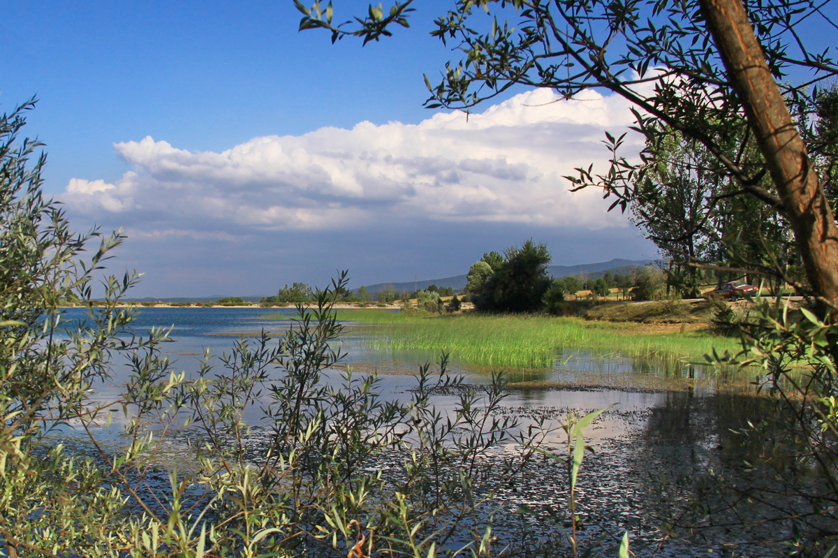 2024 Geleceğe Nefes Ormanlarımız Sergi Fotoğrafları