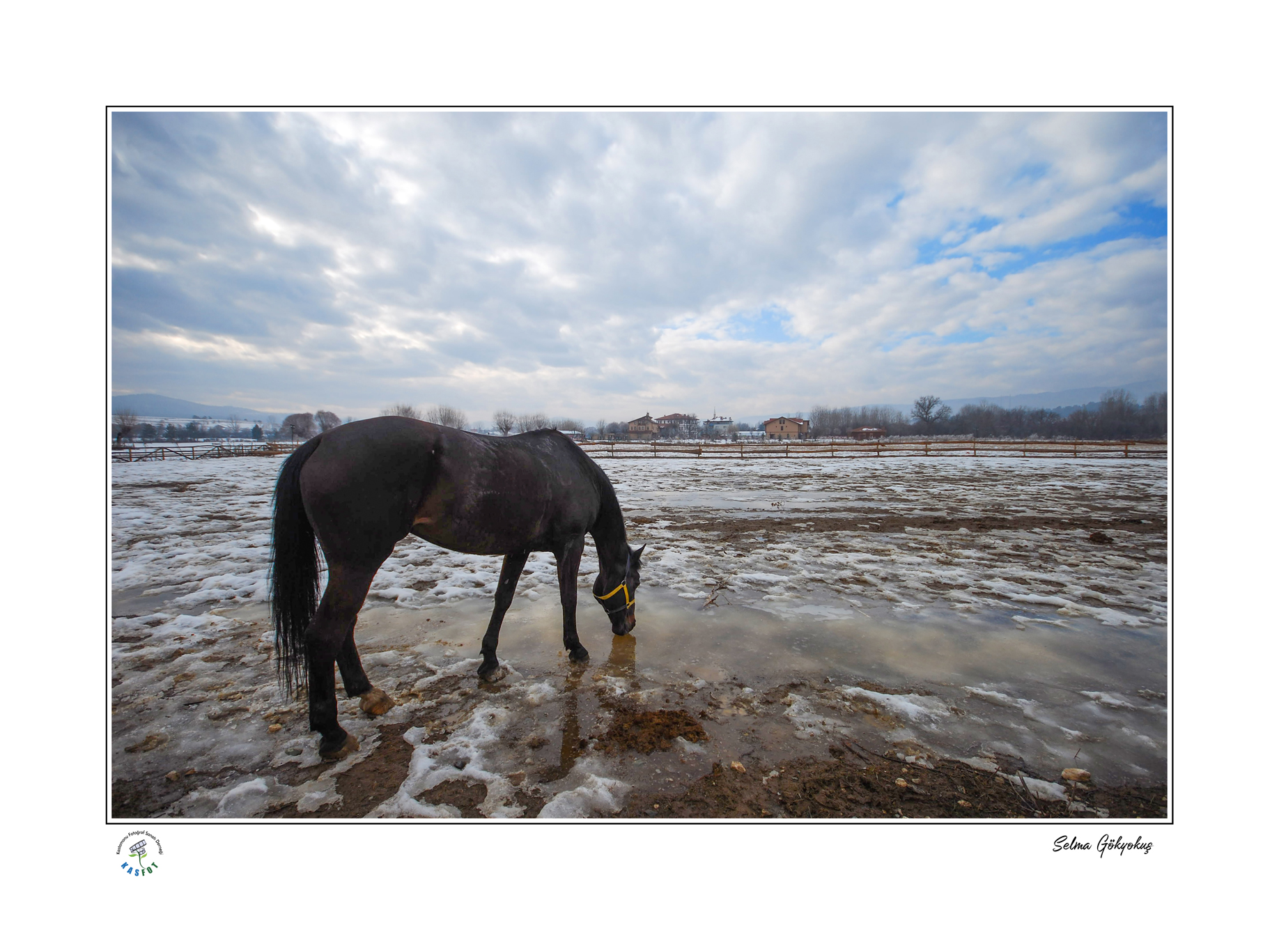 2023 Kış Sergisi Fotoğrafları