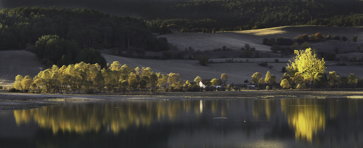 2024 Geleceğe Nefes Ormanlarımız Sergi Fotoğrafları