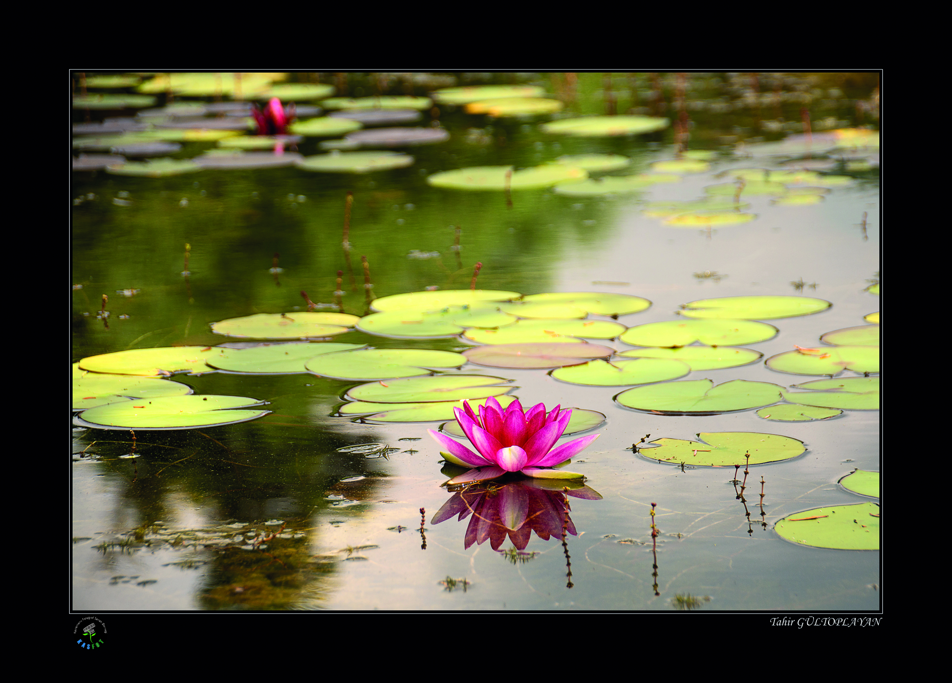 2020 Makro Sergisi Fotoğrafları