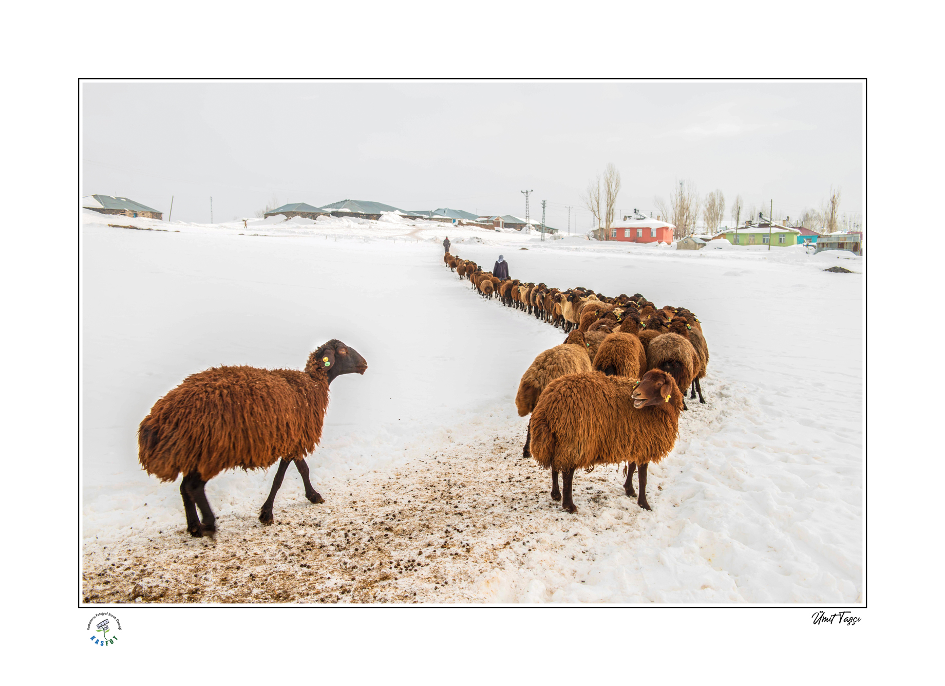 2023 Kış Sergisi Fotoğrafları