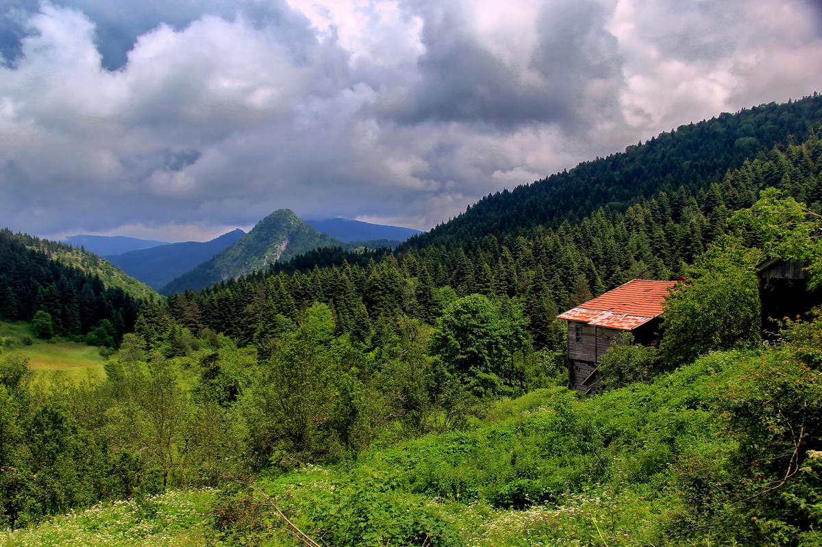 2024 Geleceğe Nefes Ormanlarımız Sergi Fotoğrafları