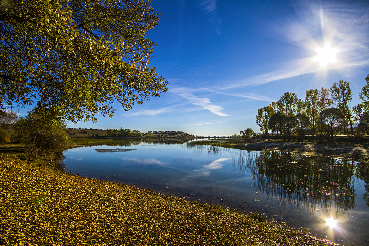 2024 Geleceğe Nefes Ormanlarımız Sergi Fotoğrafları