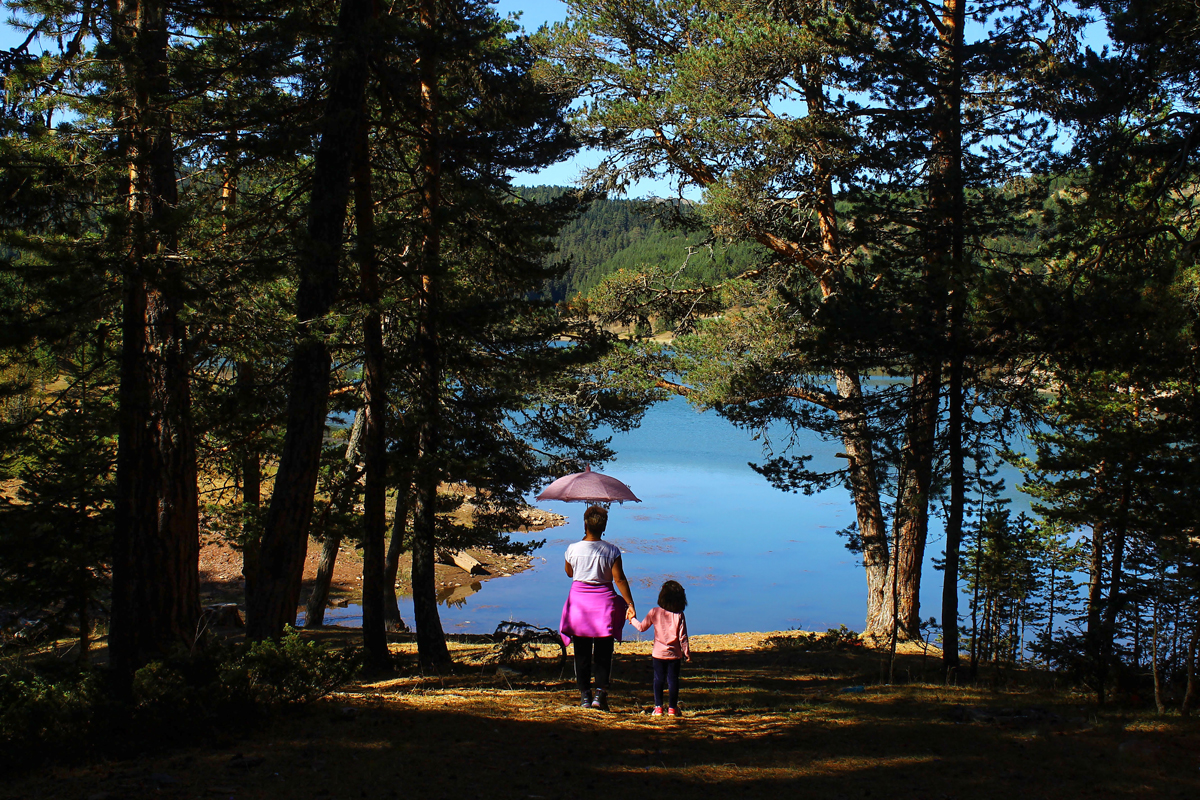 2024 Geleceğe Nefes Ormanlarımız Sergi Fotoğrafları