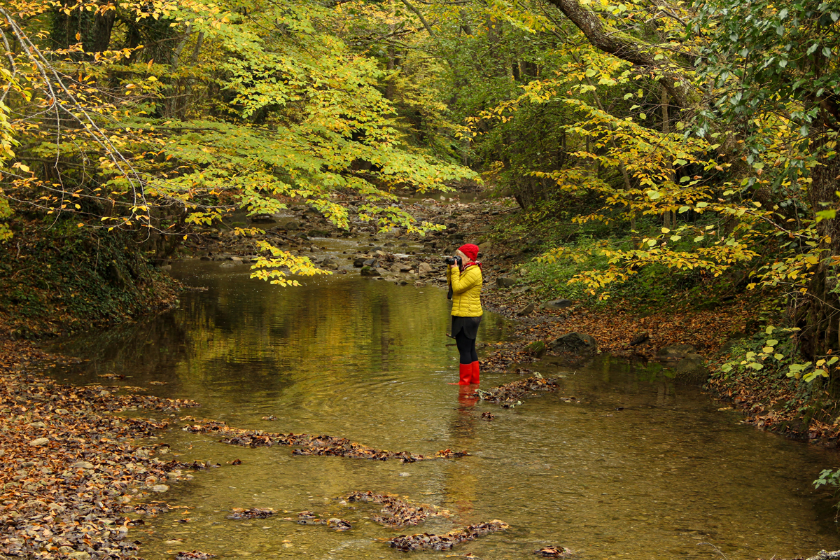 2024 Geleceğe Nefes Ormanlarımız Sergi Fotoğrafları