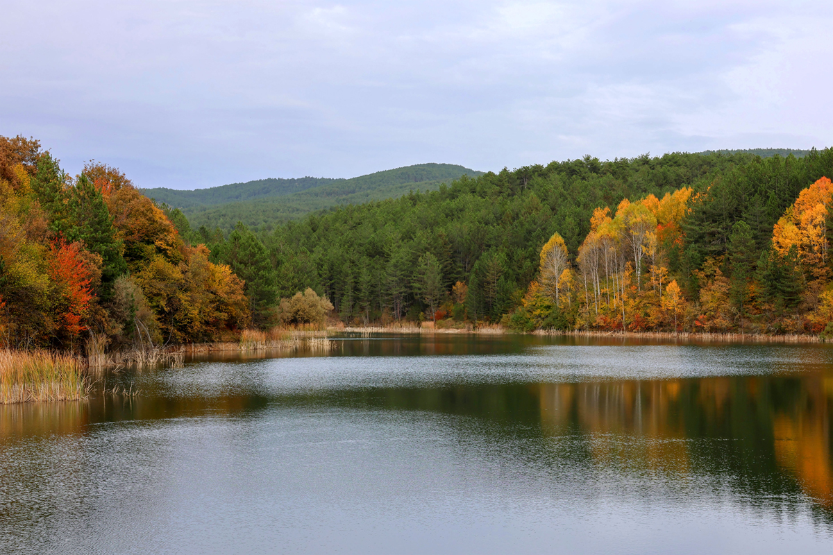 2024 Geleceğe Nefes Ormanlarımız Sergi Fotoğrafları