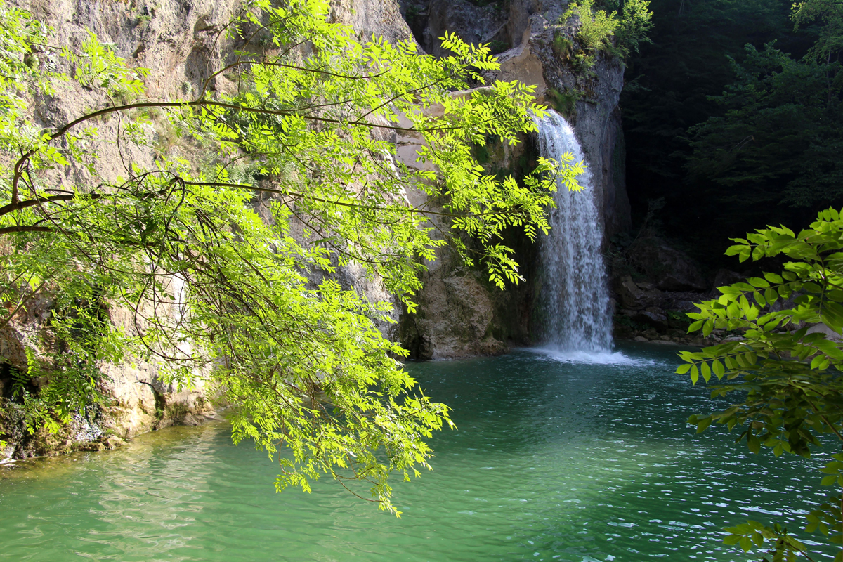 2024 Geleceğe Nefes Ormanlarımız Sergi Fotoğrafları
