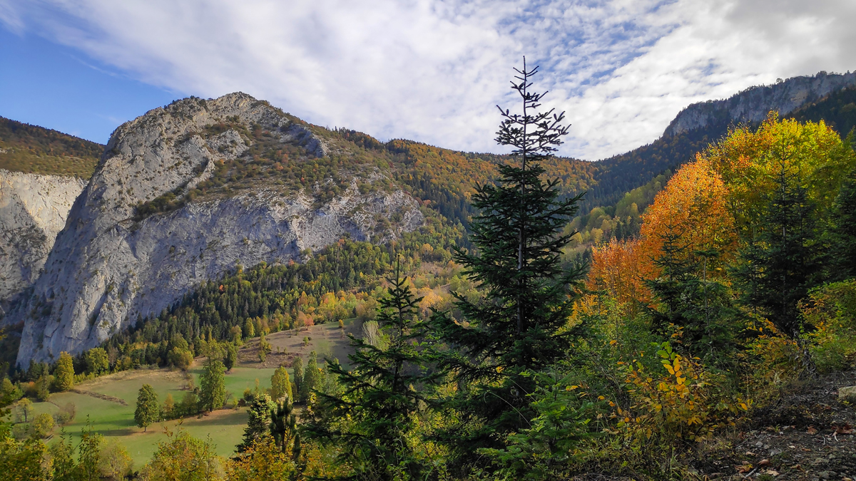 2024 Geleceğe Nefes Ormanlarımız Sergi Fotoğrafları