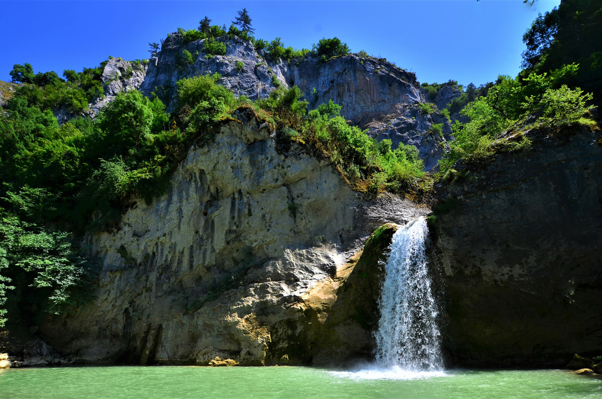 2024 Geleceğe Nefes Ormanlarımız Sergi Fotoğrafları