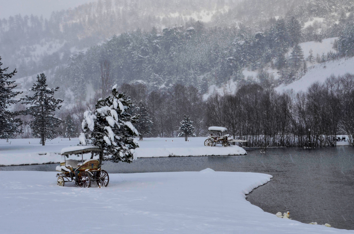2024 Geleceğe Nefes Ormanlarımız Sergi Fotoğrafları