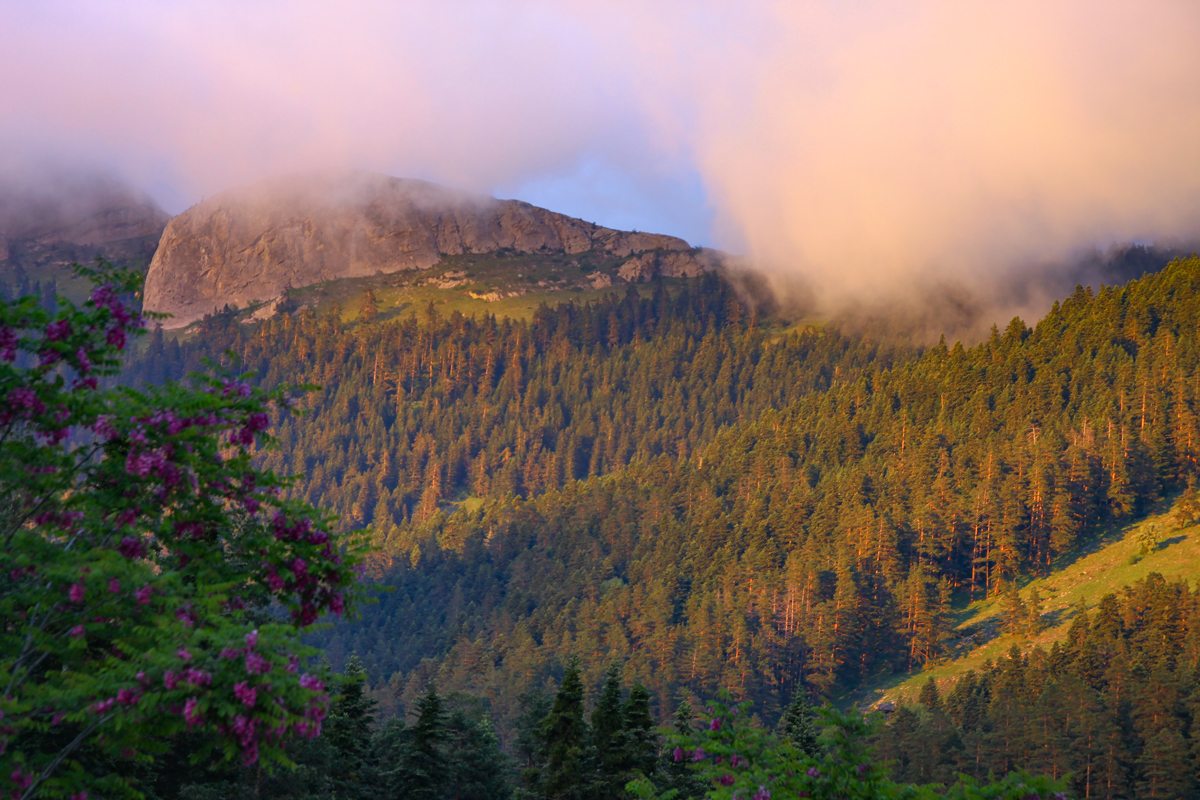 2024 Geleceğe Nefes Ormanlarımız Sergi Fotoğrafları