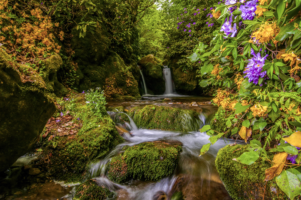 2024 Geleceğe Nefes Ormanlarımız Sergi Fotoğrafları