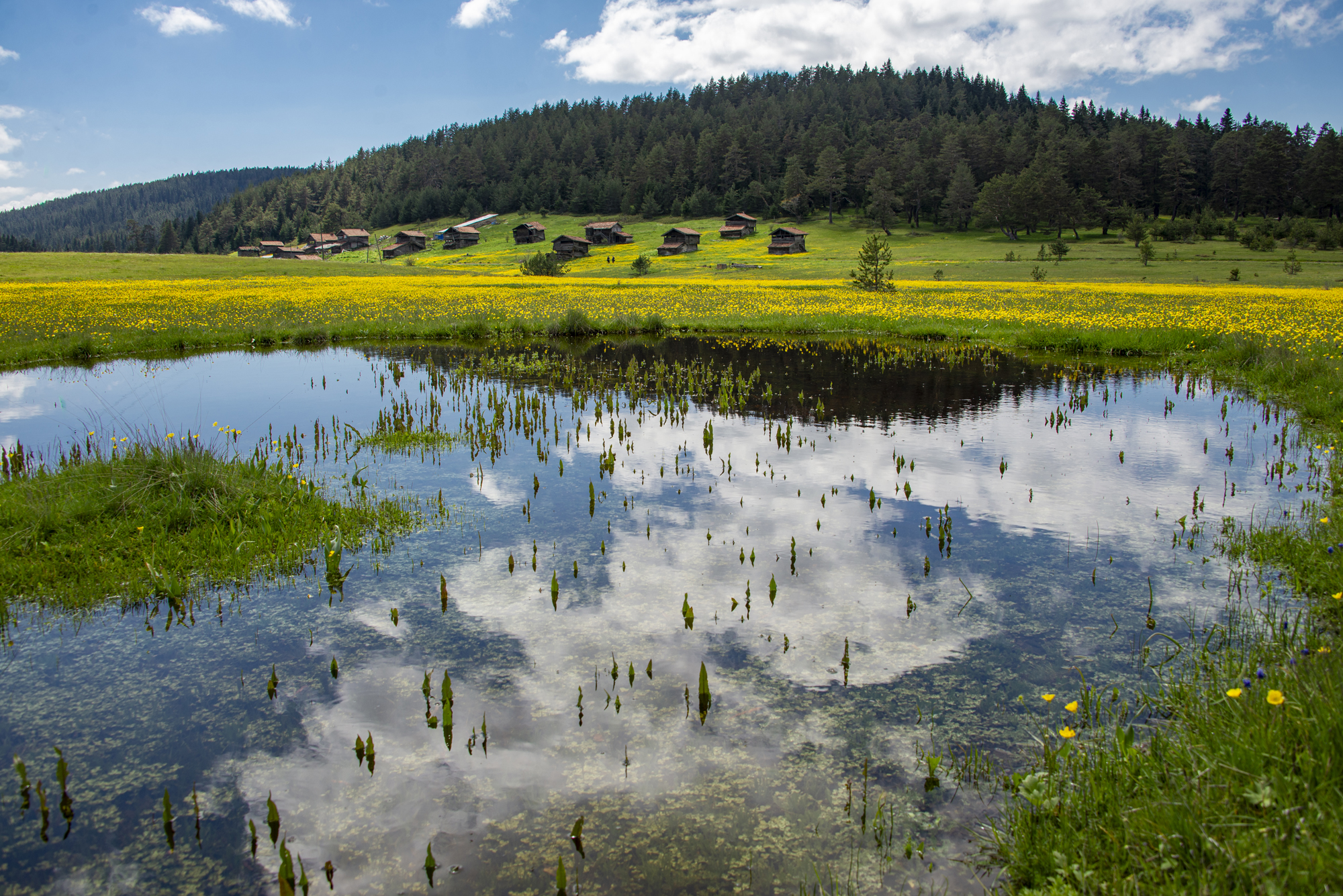 KASTAMONU'NUN RENKLERİ FOTOĞRAF SERGİSİ 2025