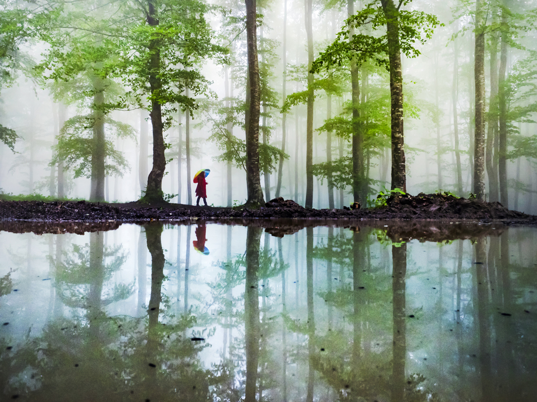2024 Geleceğe Nefes Ormanlarımız Sergi Fotoğrafları