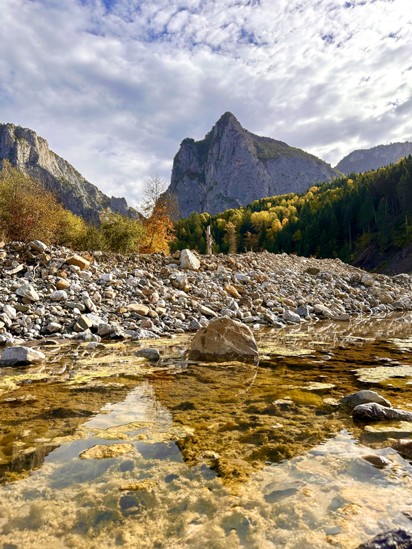 2024 Geleceğe Nefes Ormanlarımız Sergi Fotoğrafları