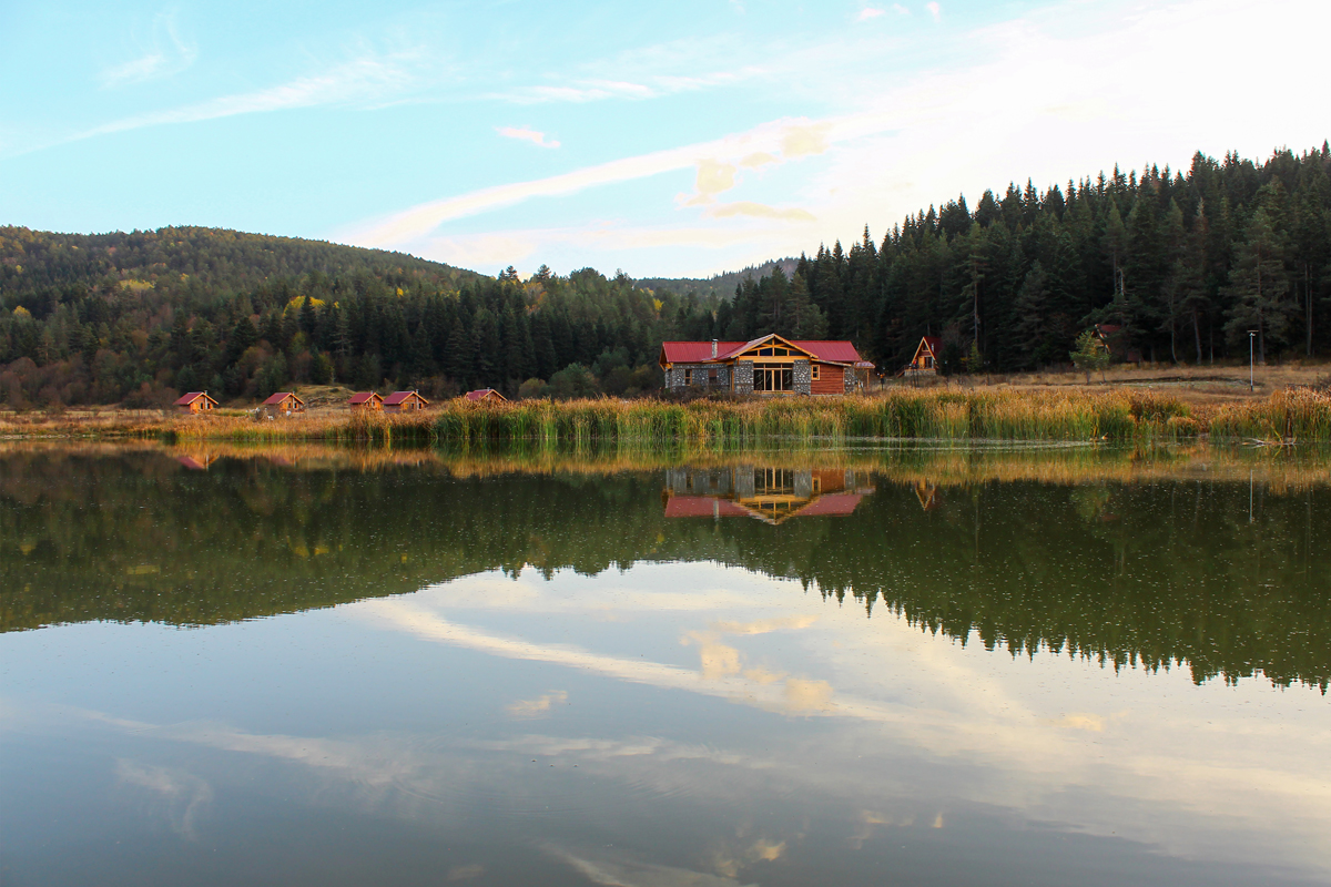 2024 Geleceğe Nefes Ormanlarımız Sergi Fotoğrafları