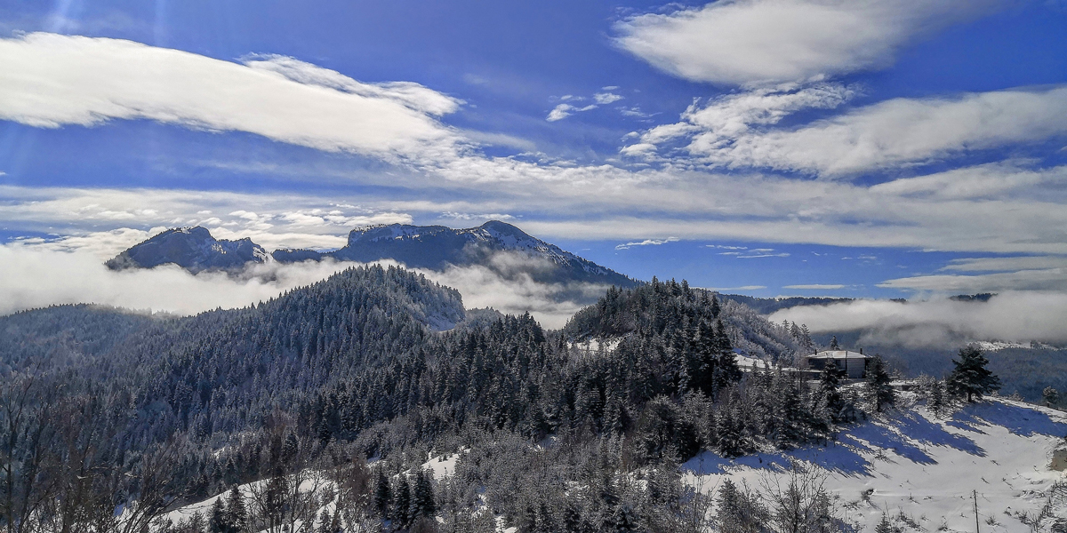 2024 Geleceğe Nefes Ormanlarımız Sergi Fotoğrafları