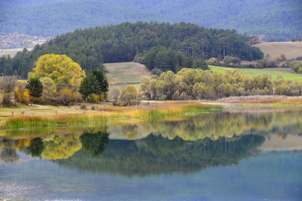 2024 Geleceğe Nefes Ormanlarımız Sergi Fotoğrafları