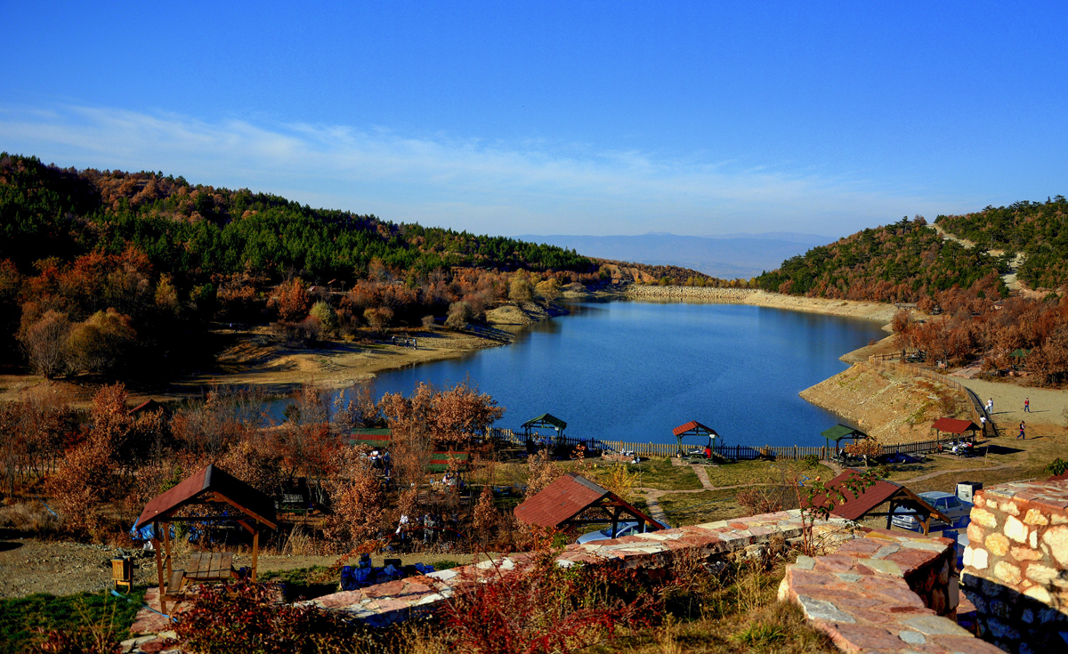 2024 Geleceğe Nefes Ormanlarımız Sergi Fotoğrafları