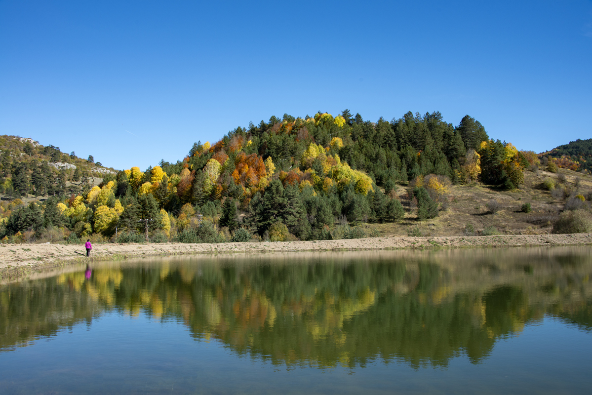2024 Geleceğe Nefes Ormanlarımız Sergi Fotoğrafları