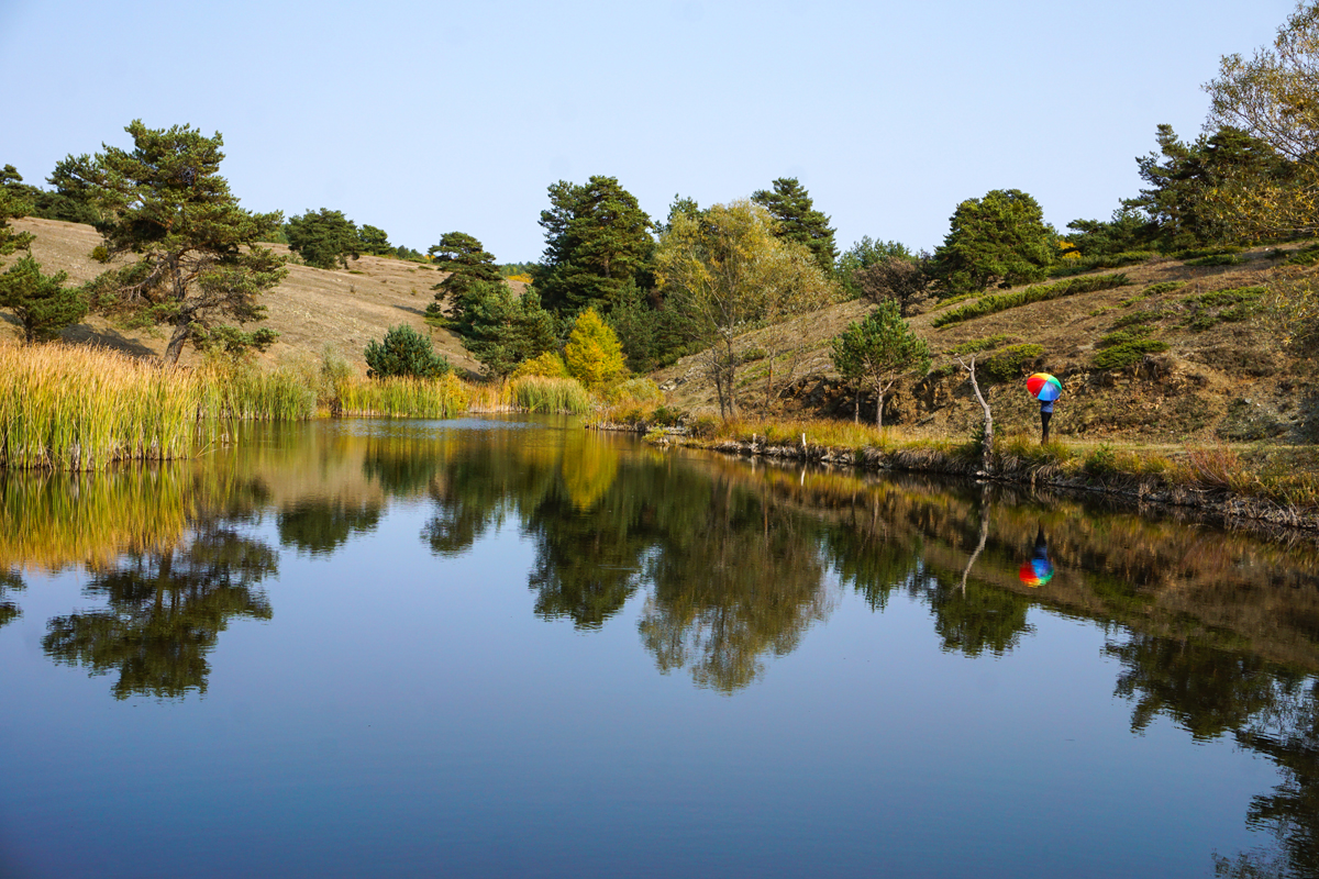 2024 Geleceğe Nefes Ormanlarımız Sergi Fotoğrafları