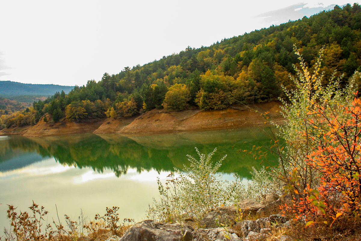 2024 Geleceğe Nefes Ormanlarımız Sergi Fotoğrafları