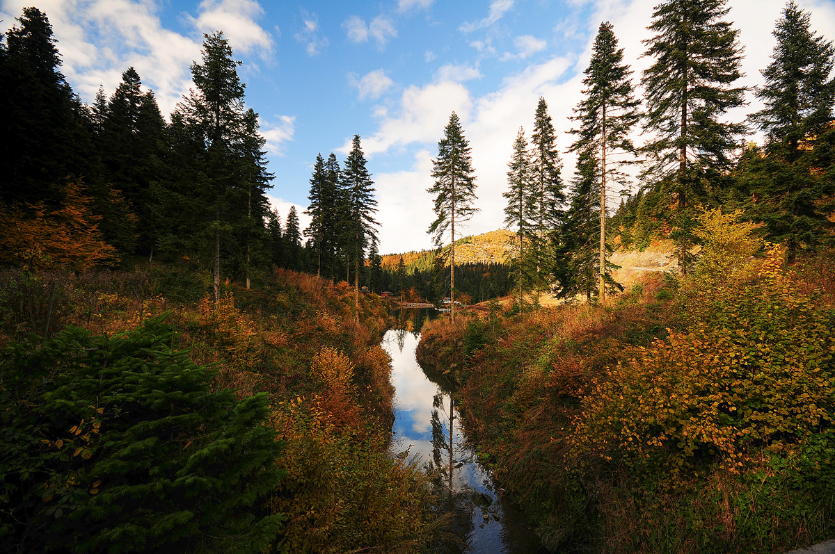 2024 Geleceğe Nefes Ormanlarımız Sergi Fotoğrafları