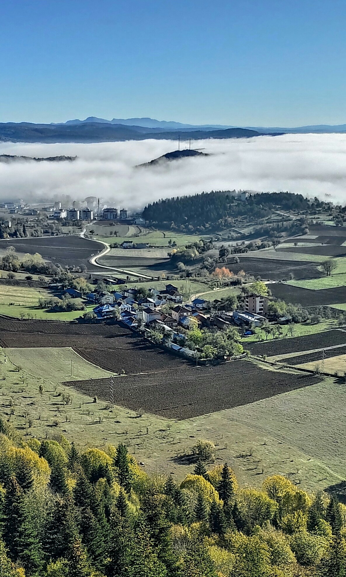 İÇİMİZDEN BİRİ (AYIN KONUĞU)  - HAZİRAN