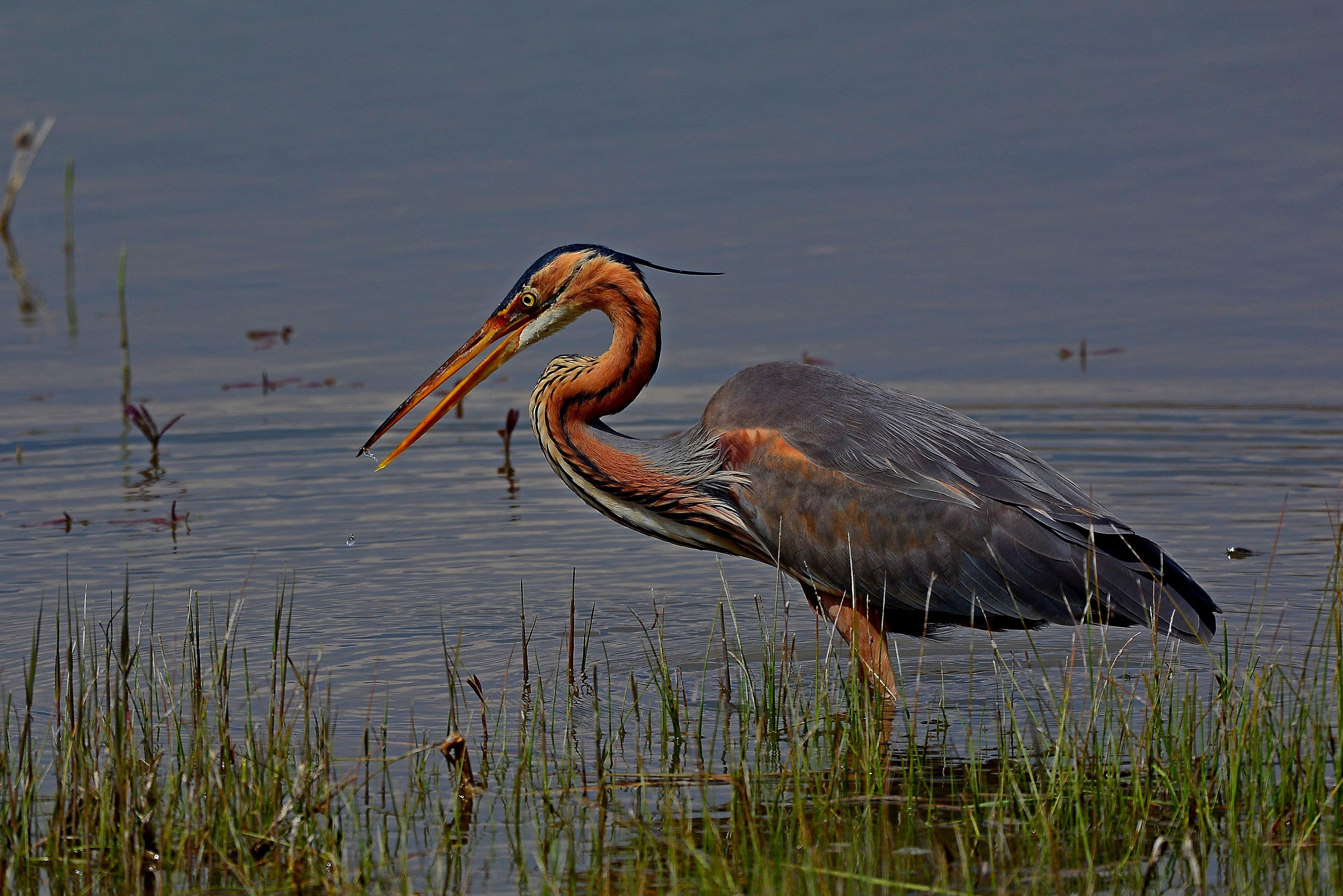İÇİMİZDEN BİRİ (AYIN KONUĞU)  - KASIM