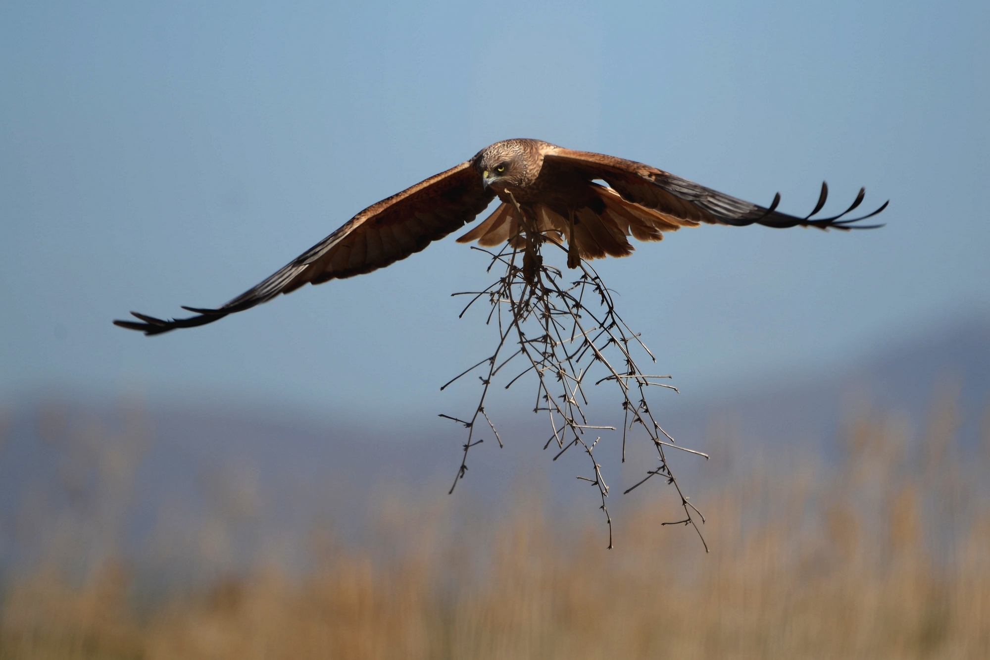 İÇİMİZDEN BİRİ (AYIN KONUĞU)  - KASIM