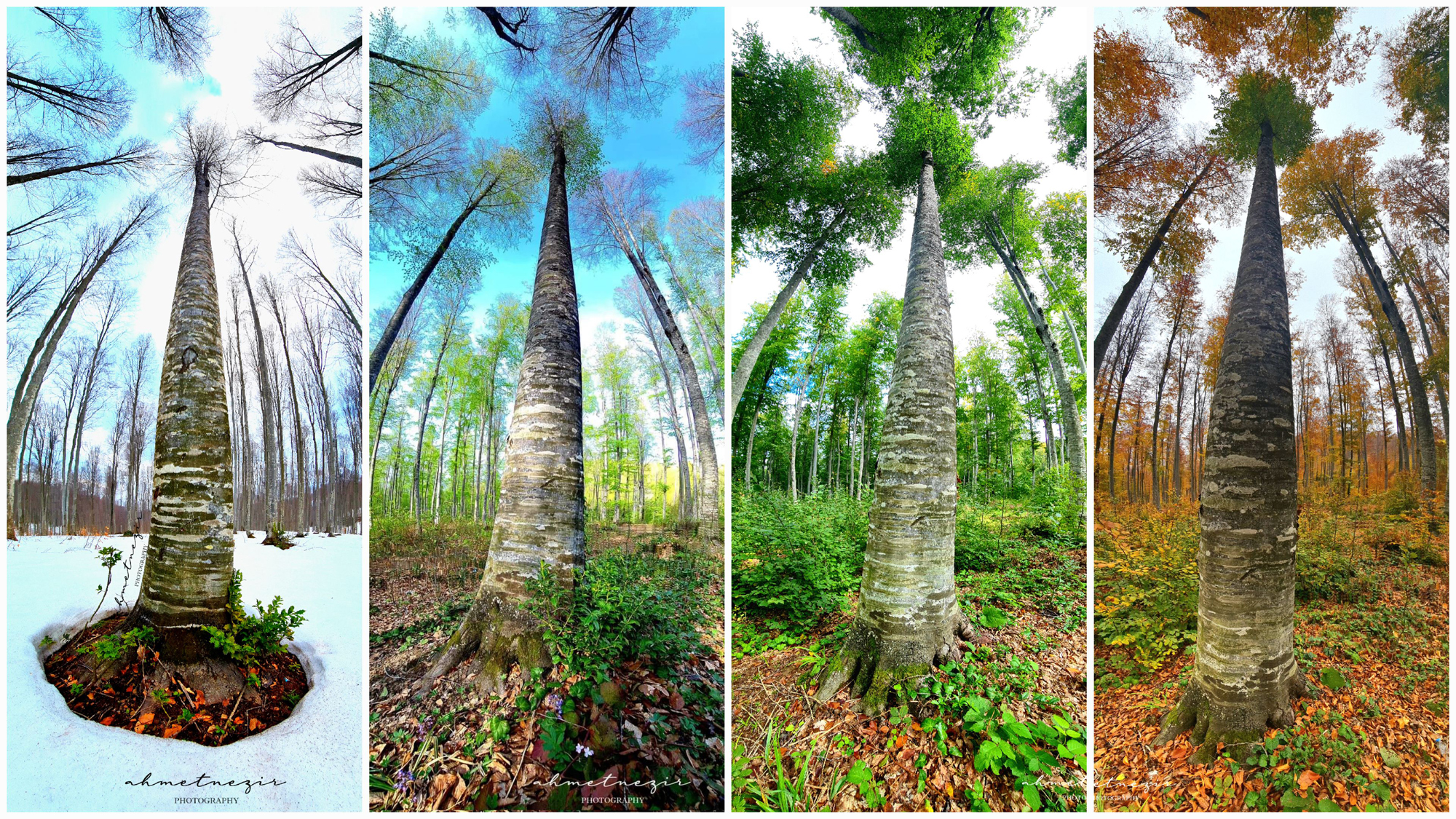 İÇİMİZDEN BİRİ (AYIN KONUĞU)  - EYLÜL