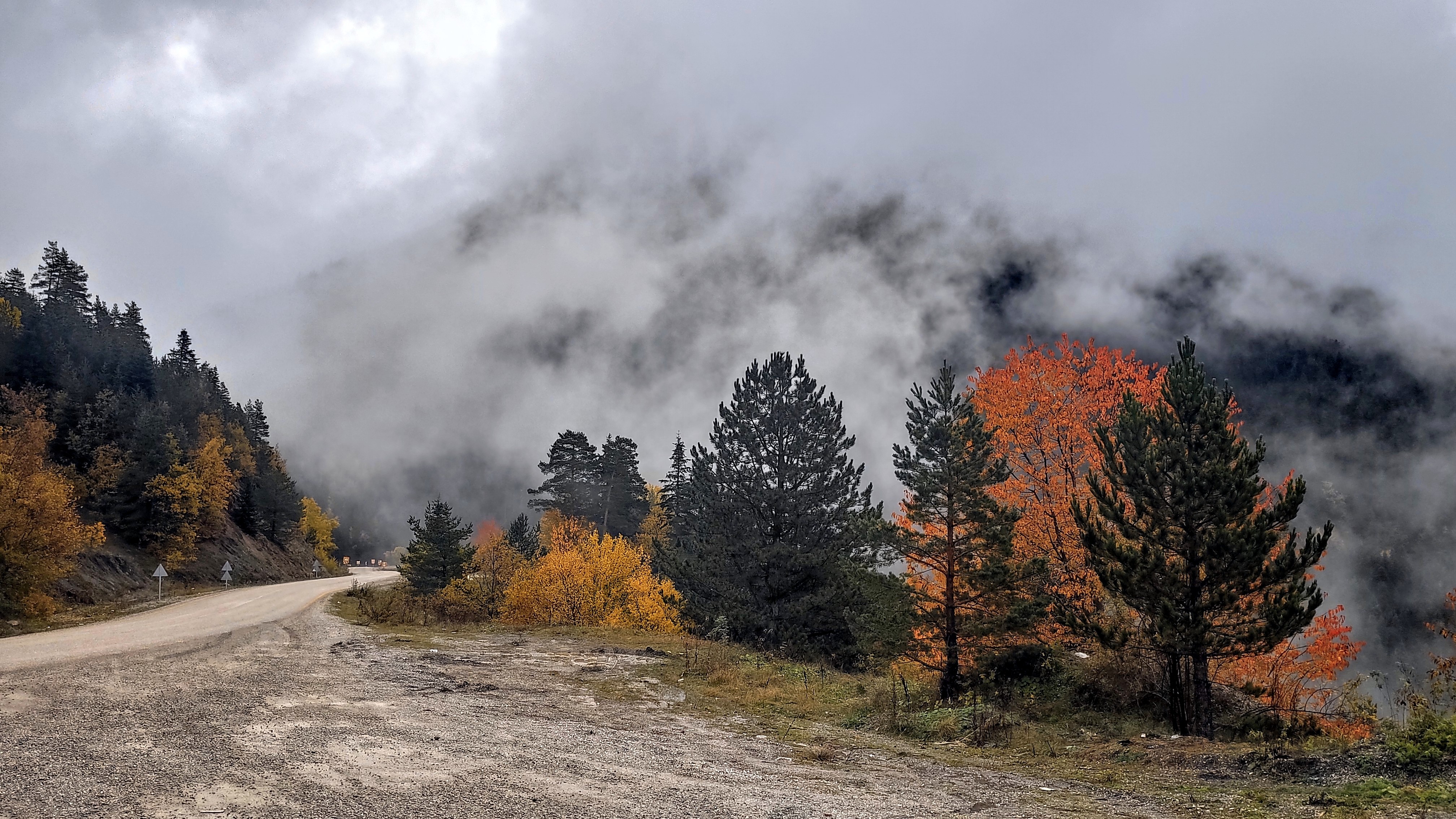 İÇİMİZDEN BİRİ (AYIN KONUĞU)  - HAZİRAN