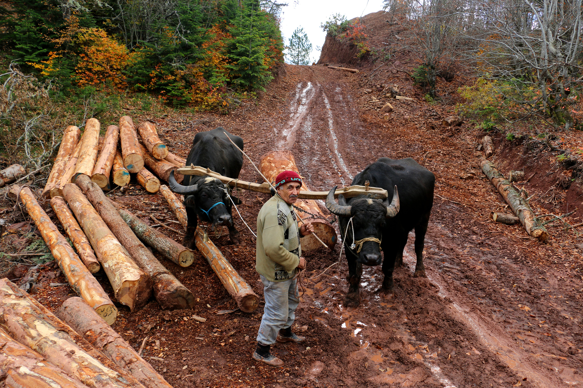 İÇİMİZDEN BİRİ (AYIN KONUĞU)  - EYLÜL