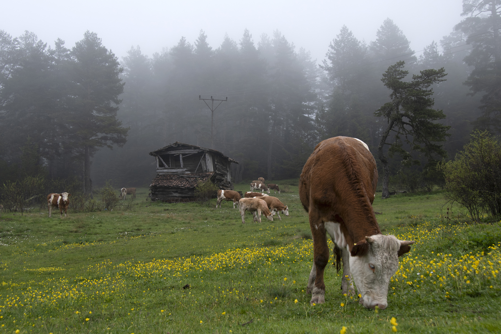 İÇİMİZDEN BİRİ (AYIN KONUĞU)  - MART