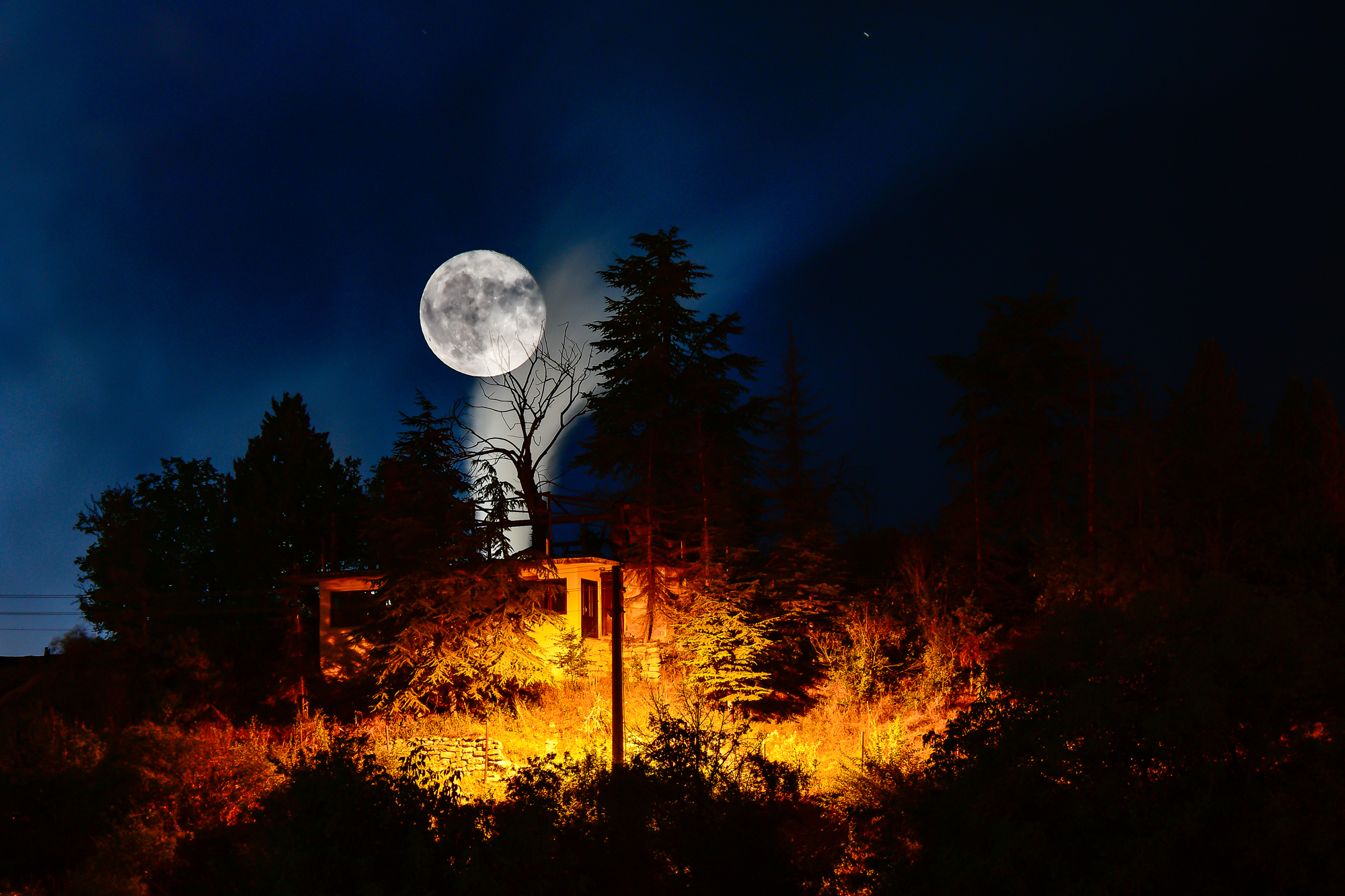 İÇİMİZDEN BİRİ (AYIN KONUĞU)  - MART