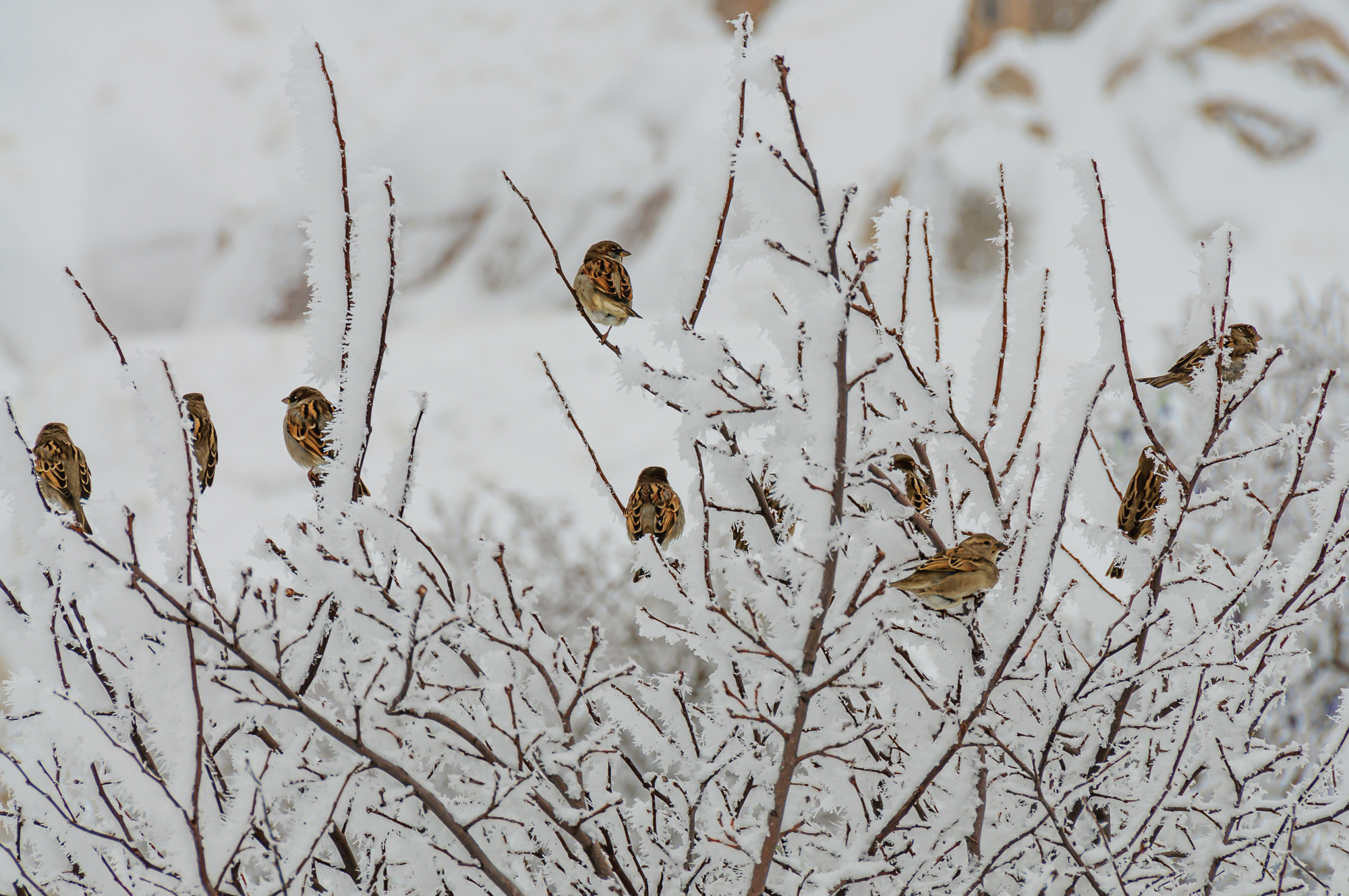 İÇİMİZDEN BİRİ (AYIN KONUĞU)  - MART